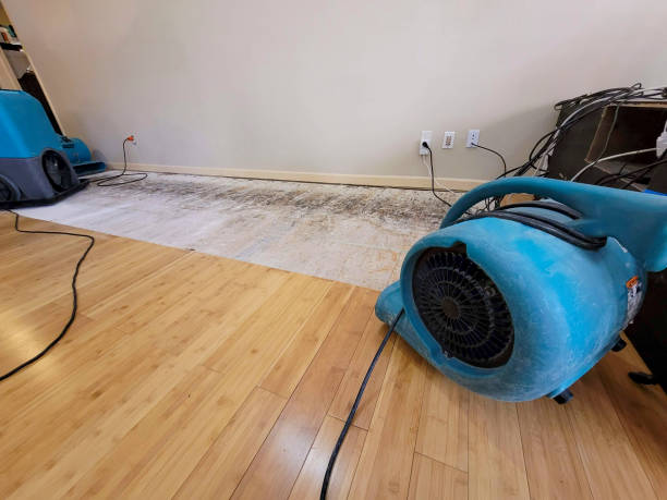 Professional Sewage Cleanup technician working in Biloxi, MS
